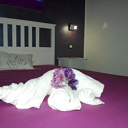 Bed & Breakfast Aurora 3*