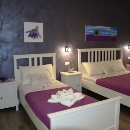 Aurora Bed & Breakfast *