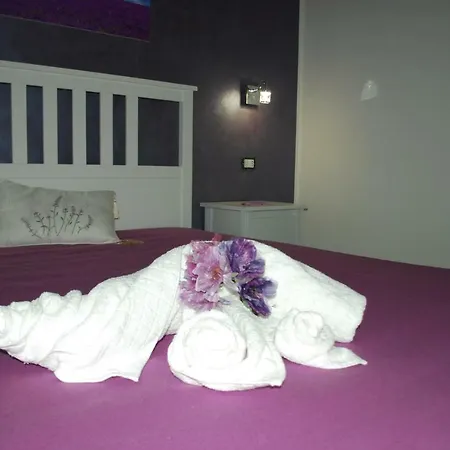 Aurora Bed & Breakfast *